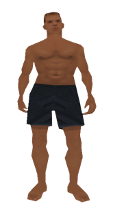 Beach Visitor preview