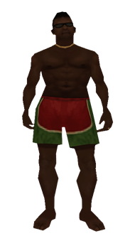 Beach Visitor preview