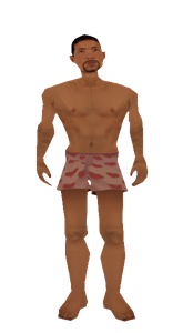 Naked Valet preview
