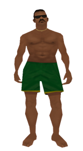 Beach Visitor preview