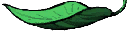 LD_GRAV:leaf preview