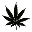 LD_TATT:4weed preview