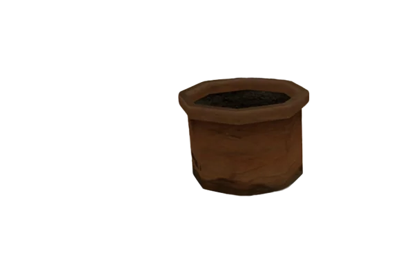 RC Cam preview